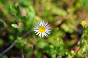 IMG_1608